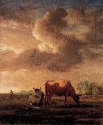 Cows on a Meadow